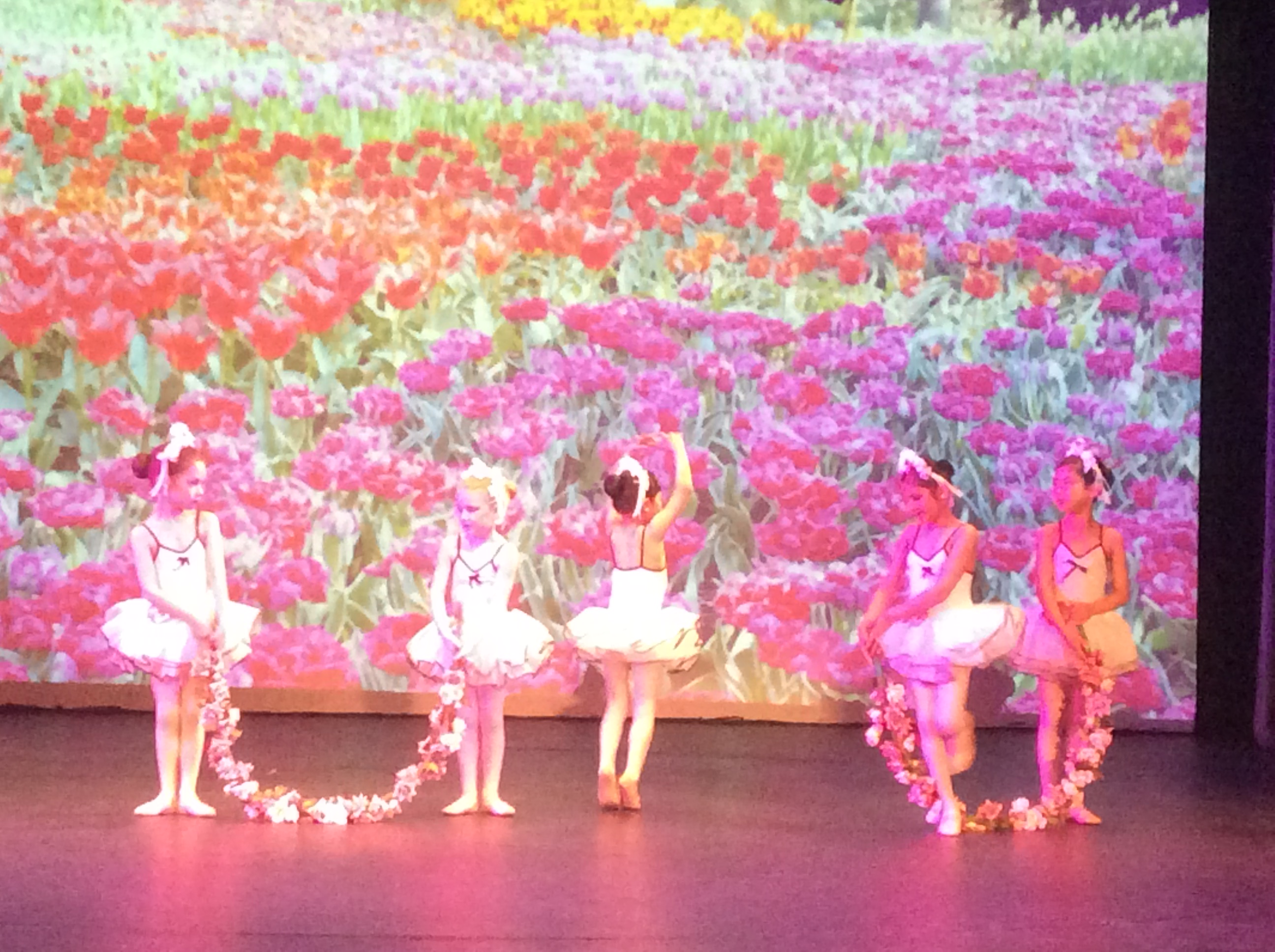 Ballet Classes Auckland